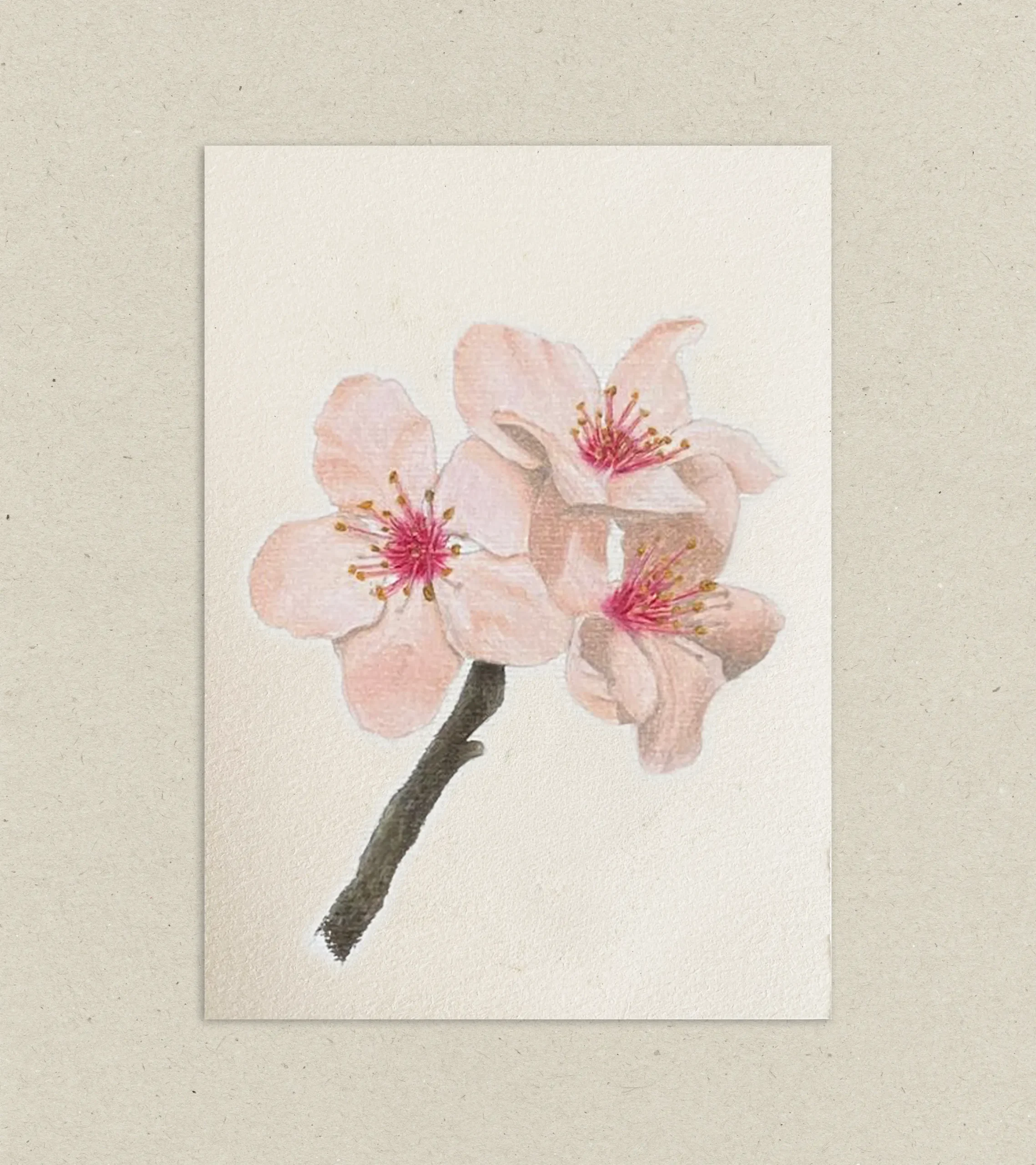 saku03